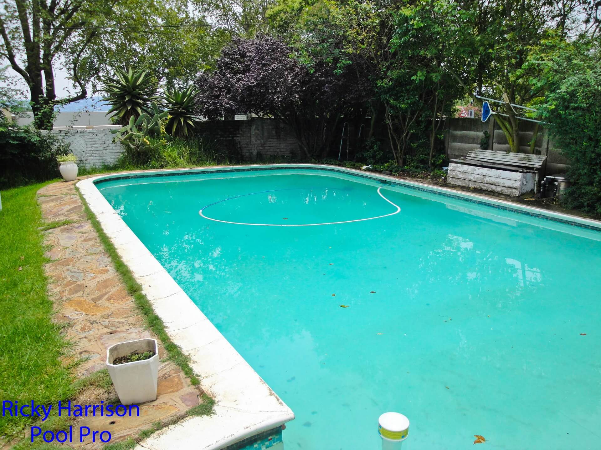 Clear pool after treatment