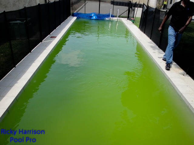 Cloudy pool before treatment