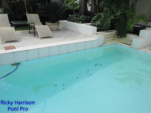 Clean pool after treatment